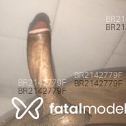 Acompanhante Roberto - Perfil