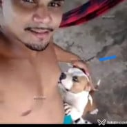 Acompanhante Santos - Perfil