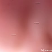 Acompanhante Estrela - Perfil
