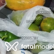 Acompanhante Ppp - Perfil
