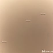 Acompanhante Wanessa - Perfil
