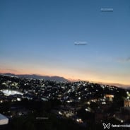 Acompanhante Pardalpicudo - Perfil
