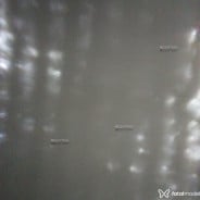 Acompanhante Luluzinha - Perfil