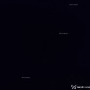 Acompanhante Tdnsigilo - Perfil