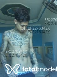 Acompanhante Nogzin - Perfil