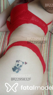 Acompanhante Panda - Perfil