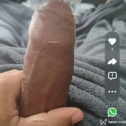 Acompanhante Baianinho - Perfil