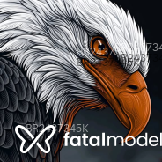 Acompanhante Kevin - Perfil