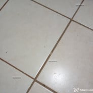 Ssantoss Acompanhante Ssantoss - Perfil