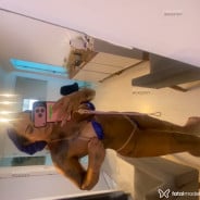 Acompanhante Samantha - Perfil
