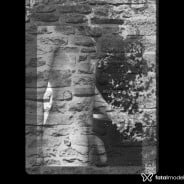 Acompanhante Vitin - Perfil