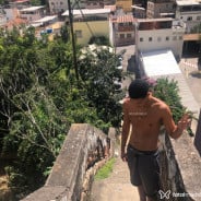 Acompanhante Gigante - Perfil