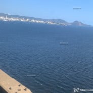 Acompanhante Roberto Silva - Perfil