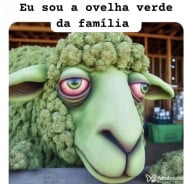 Acompanhante Mateus - Perfil