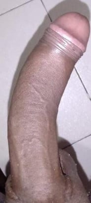Pretodotado Acompanhante Pretodotado - Perfil