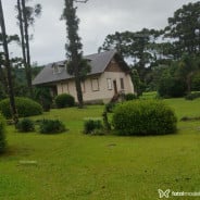 Acompanhante Baianinho - Perfil