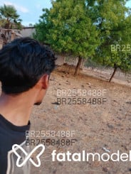Acompanhante Pedro - Perfil
