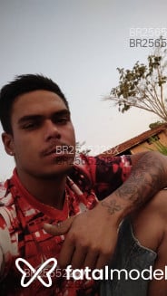 Acompanhante Gabriel Henrique - Perfil
