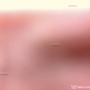 Acompanhante Flor - Perfil