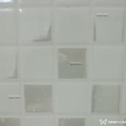 Acompanhante Ctm - Perfil