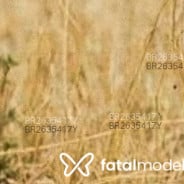 Acompanhante Isabella - Perfil