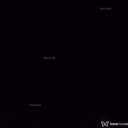 Napolitano Acompanhante Napolitano - Perfil