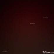 Acompanhante Vsvdbbd - Perfil