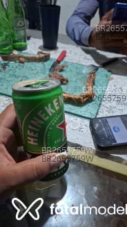 Acompanhante Leozito - Perfil