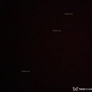 Acompanhante Maialins - Perfil