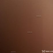 Acompanhante Lavínia Porto - Perfil