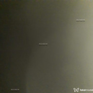 Acompanhante Coala - Perfil