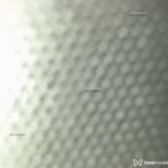 Acompanhante Amtsafadinha - Perfil
