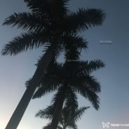 Acompanhante Luiza - Perfil