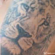 Acompanhante Henrique - Perfil