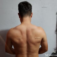 Acompanhante Pardinho - Perfil