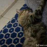 Acompanhante Anônimos - Perfil