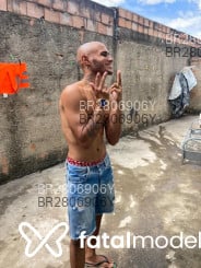 Acompanhante Pauloalmeida - Perfil