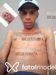 Acompanhante Vinícius - Perfil