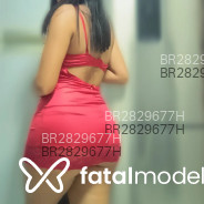 Acompanhante Morena - Perfil