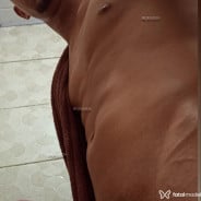 Acompanhante Carlos - Perfil