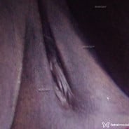 Acompanhante Herika - Perfil
