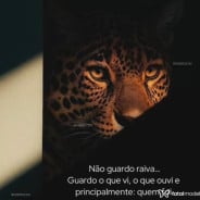 Acompanhante Moana Beijuu - Perfil