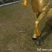 Acompanhante Regiane - Perfil