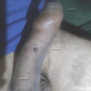 Acompanhante Alvez - Perfil