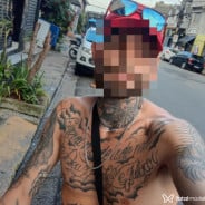 Acompanhante Piloto - Perfil