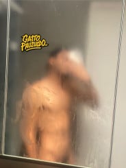 Acompanhante Gatto Pauudo - Perfil