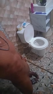 Acompanhante Pretão Zl - Perfil