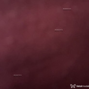 Acompanhante Lgtrdvkh - Perfil