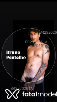 Acompanhante Brunopentelho - Perfil