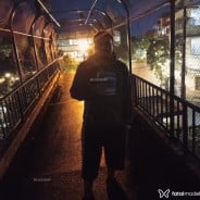 Acompanhante Coiote - Perfil